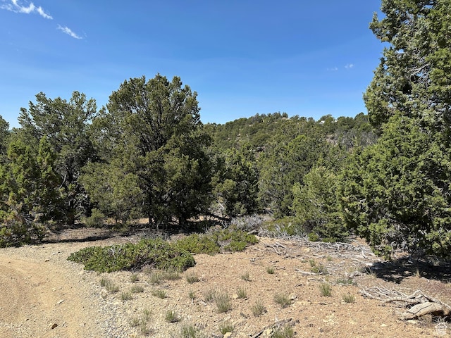 35800 N 10600 E, Indianola, UT 84629