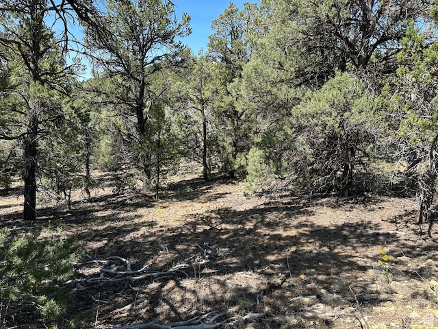 35800 N 10600 E, Indianola, UT 84629