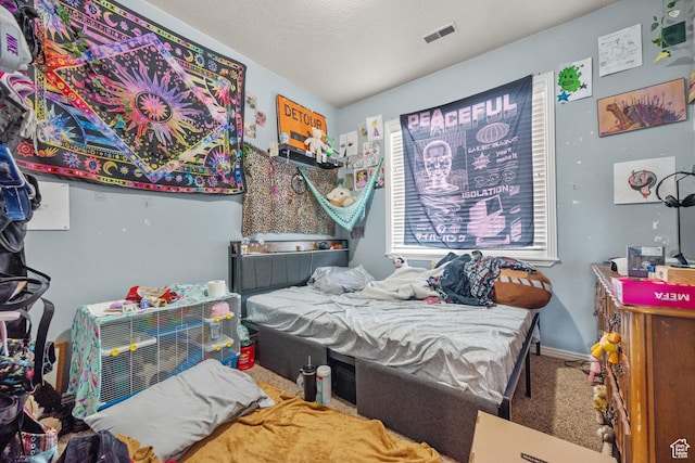 84 S 1630 W, Pleasant Grove, UT 84062 - view of carpeted bedroom