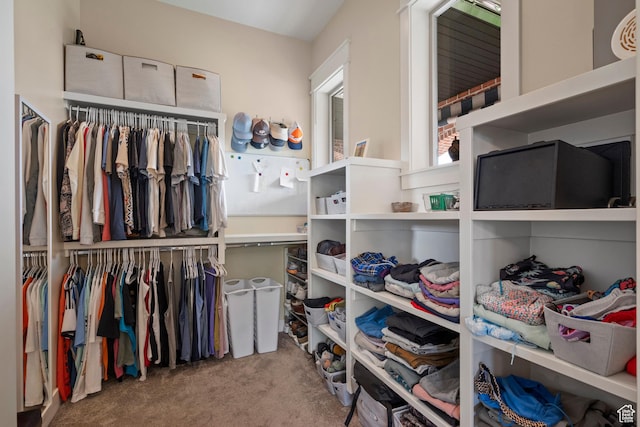1827 S Hillcrest Cir, Mapleton, UT 84664 - spacious closet with carpet flooring