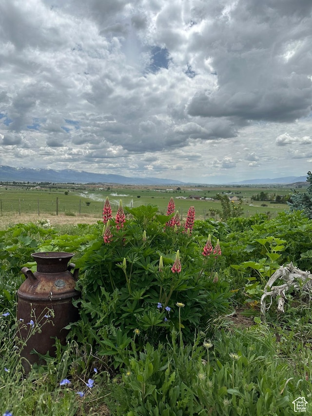 11730 E 24200 N, Fairview, UT 84629 - view of yard featuring a rural view