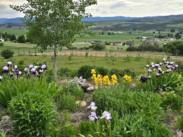 11730 E 24200 N, Fairview, UT 84629 - view of yard featuring a mountain view and a view of rural / pastoral area