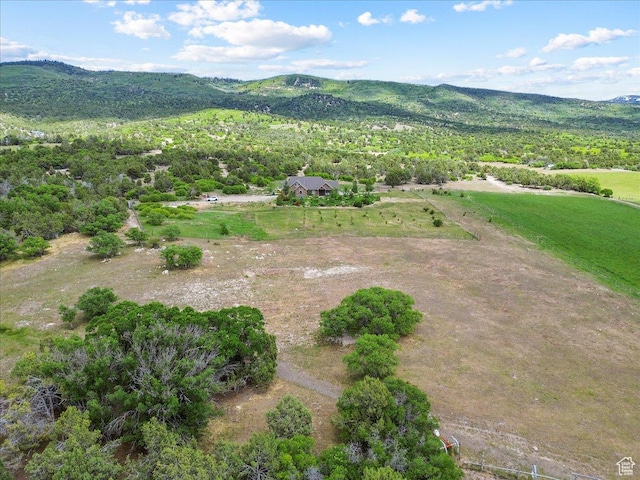 11730 E 24200 N, Fairview, UT 84629 - aerial view of mountains