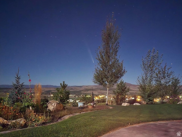 11730 E 24200 N, Fairview, UT 84629 - view of grassy yard with a mountain view