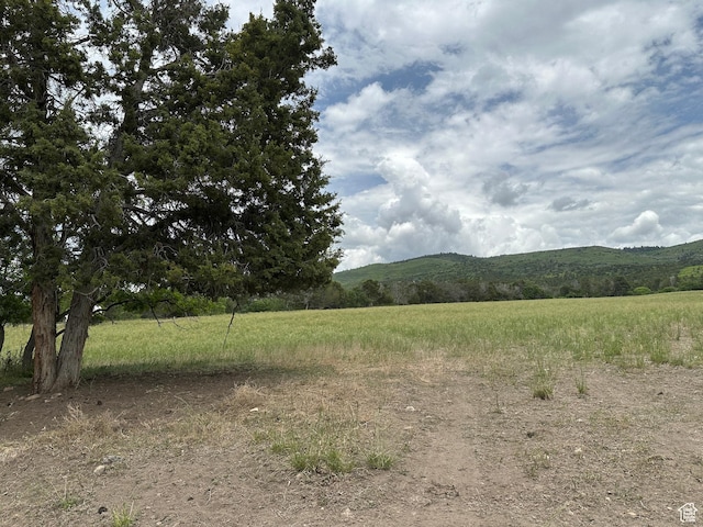 11730 E 24200 N, Fairview, UT 84629 - view of mountain background with rural landscape