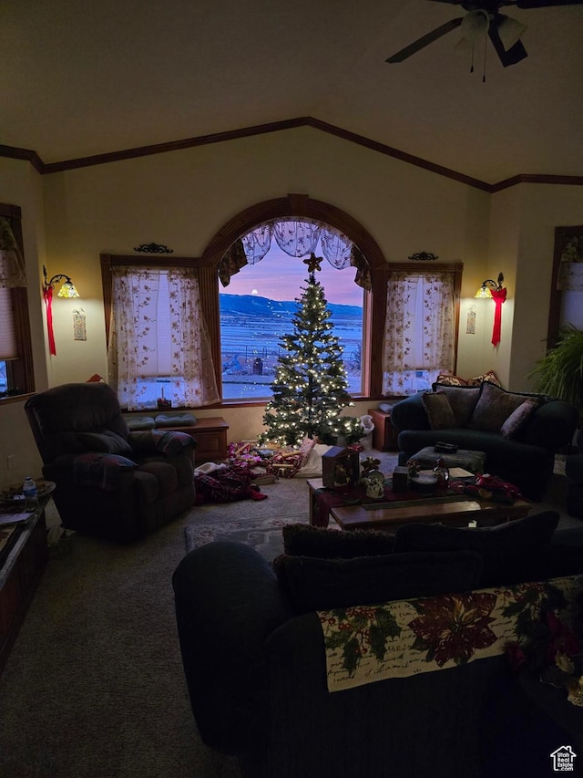 11730 E 24200 N, Fairview, UT 84629 - carpeted living area with ceiling fan and vaulted ceiling