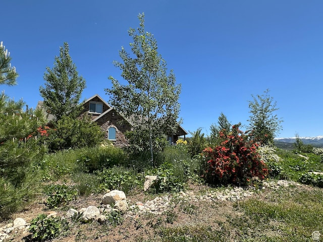 11730 E 24200 N, Fairview, UT 84629 - view of yard