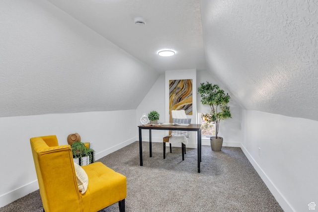 195 E 200 S, Nephi, UT 84648 - carpeted office space featuring a textured ceiling, lofted ceiling, and baseboards