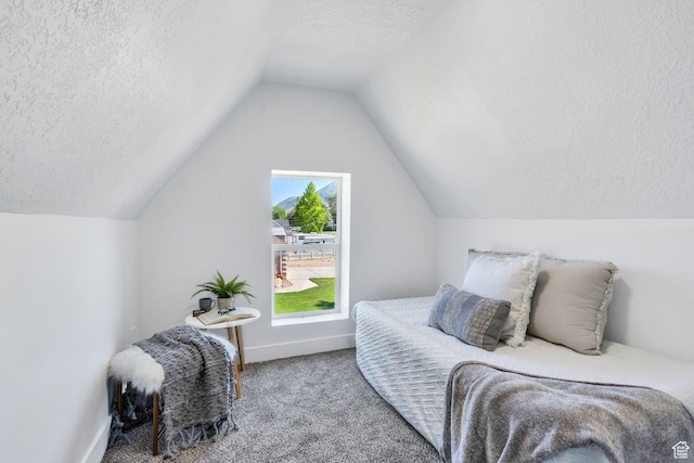 195 E 200 S, Nephi, UT 84648 - carpeted bedroom with a textured ceiling, vaulted ceiling, and baseboards