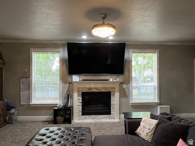 1107 E 1625 N, North Logan, UT 84341 - carpeted living room featuring a fireplace, baseboards, a textured ceiling, crown molding, and plenty of natural light