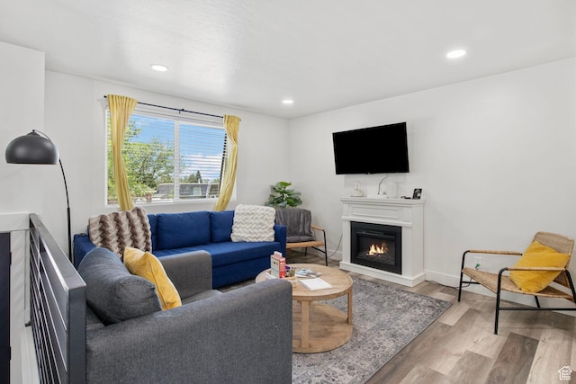 8485 S 1575 E, Sandy, UT 84093 - living area featuring wood finished floors, a glass covered fireplace, recessed lighting, and baseboards