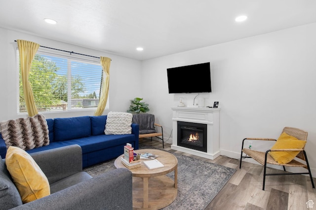 8485 S 1575 E, Sandy, UT 84093 - living area featuring wood finished floors, a glass covered fireplace, baseboards, and recessed lighting