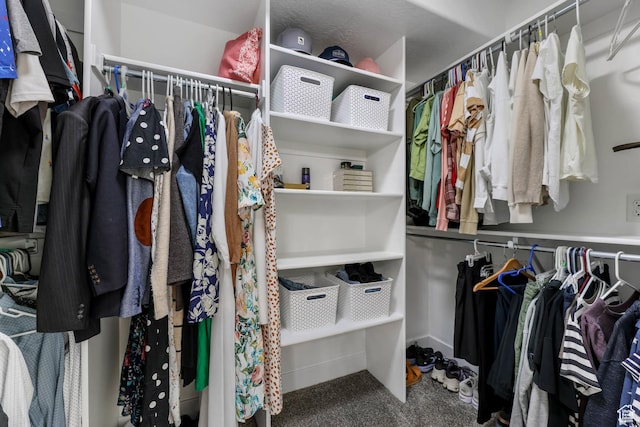 3946 W Birmingham Cir S, Jordan, UT 84009 - walk in closet with carpet floors