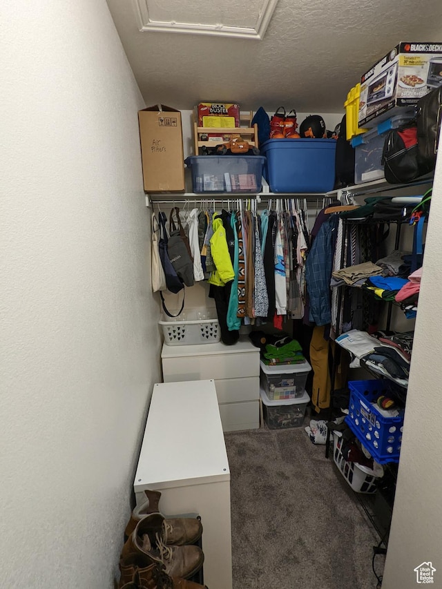 1043 Canyon Meadow Dr Unit 2, Provo, UT 84606 - walk in closet featuring carpet floors and attic access