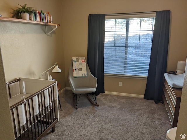 1043 Canyon Meadow Dr Unit 2, Provo, UT 84606 - bedroom featuring multiple windows, carpet, and baseboards