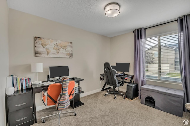 8831 W Digger Ln S, Magna, UT 84044 - office space featuring carpet floors, baseboards, and a textured ceiling