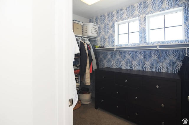3639 S Clearwater Way, Syracuse, UT 84075 - walk in closet with carpet floors