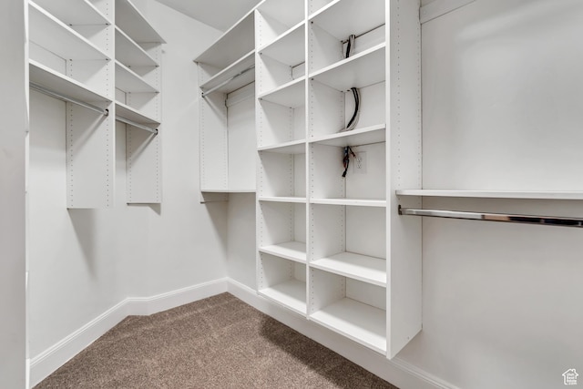1498 W Mule Train Dr, Bluffdale, UT 84065 - walk in closet with carpet floors