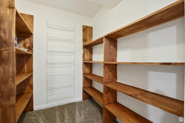1047 E Eastgate Rd, Salt Lake City, UT 84117 - walk in closet featuring carpet floors