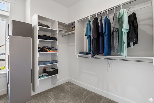 12612 S Starlite Hill Ln W, Herriman, UT 84096 - walk in closet featuring carpet