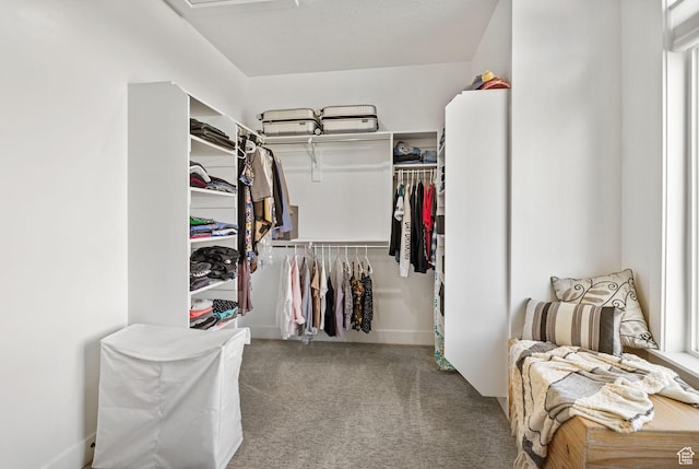 12612 S Starlite Hill Ln W, Herriman, UT 84096 - walk in closet featuring carpet