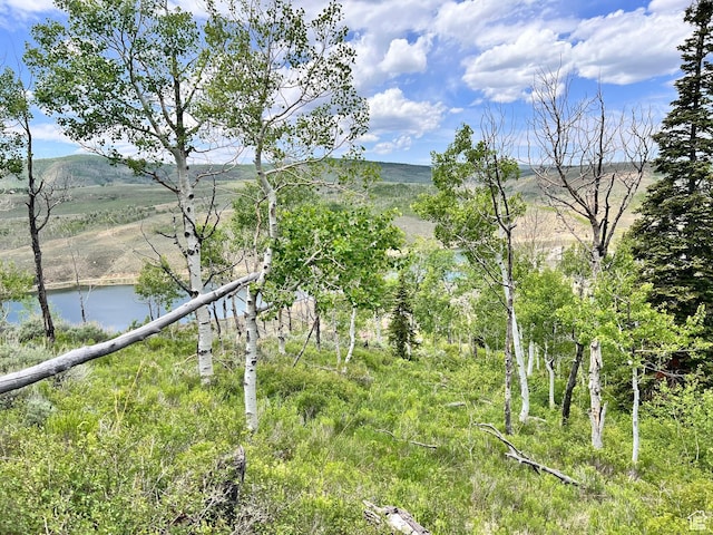 Unit 81, 82, Scofield, UT 84526