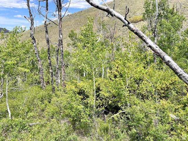 Unit 81, 82, Scofield, UT 84526