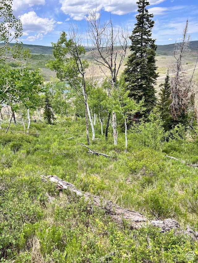 Unit 81, 82, Scofield, UT 84526