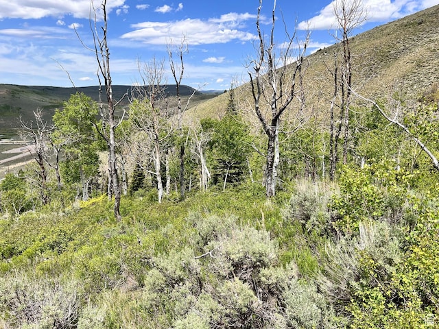Unit 81, 82, Scofield, UT 84526