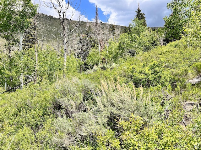 Unit 81, 82, Scofield, UT 84526