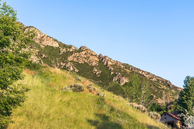 1559 E Oak Cliff Dr N, Provo, UT 84604 - view of mountain background
