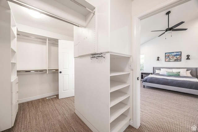1559 E Oak Cliff Dr N, Provo, UT 84604 - walk in closet with carpet flooring, a ceiling fan, and lofted ceiling
