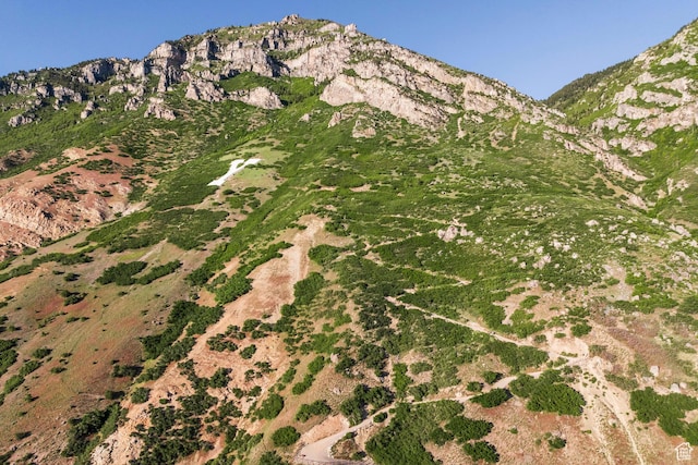 1559 E Oak Cliff Dr N, Provo, UT 84604 - view of mountain background