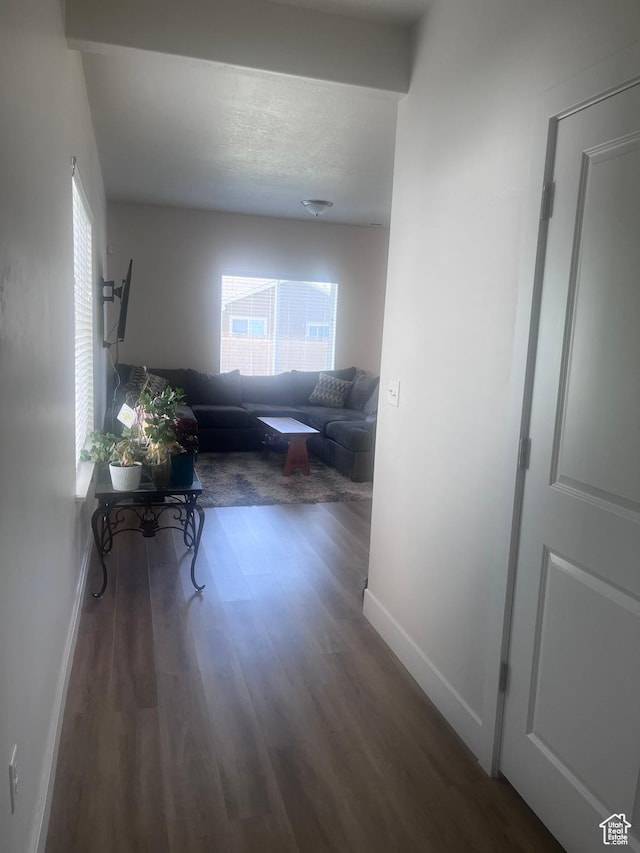 1037 W 600 S, Brigham City, UT 84302 - photo 5