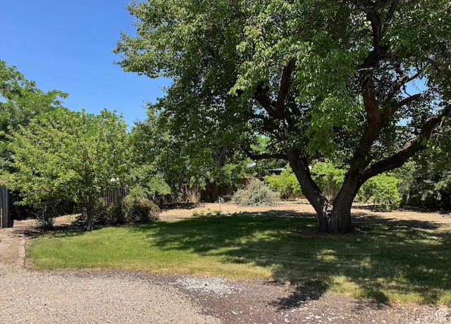 160 W 100 S, Fillmore, UT 84631 - view of yard