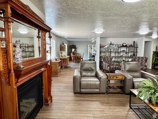 160 W 100 S, Fillmore, UT 84631 - living room featuring light wood-style flooring, a fireplace, and a textured ceiling
