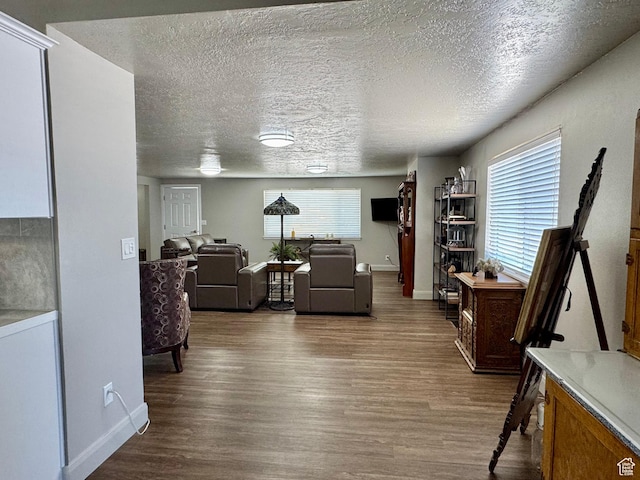 160 W 100 S, Fillmore, UT 84631 - living room featuring wood finished floors, baseboards, and a textured ceiling