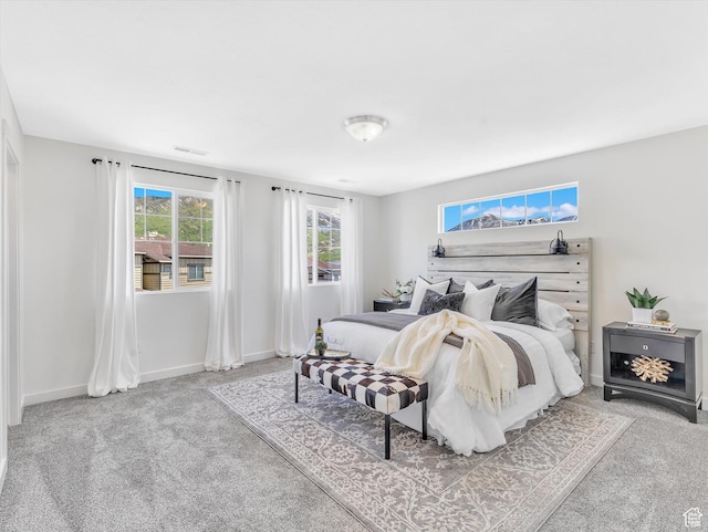 2286 E Deer Park Ln, Draper, UT 84020 - bedroom featuring carpet flooring and baseboards