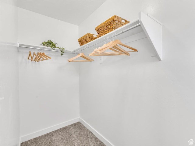 2286 E Deer Park Ln, Draper, UT 84020 - walk in closet featuring carpet floors