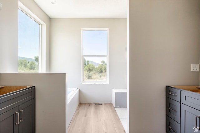 1928 E 540 S, Heber City, UT 84032 - full bath with healthy amount of natural light, wood finished floors, a garden tub, and vanity