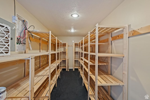 1389 S Alpine Way, Provo, UT 84606 - storage area featuring electric panel
