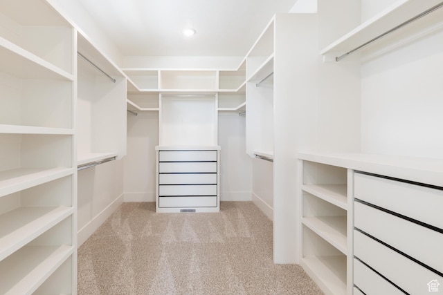 435 E 200 N, Millville, UT 84326 - spacious closet with carpet