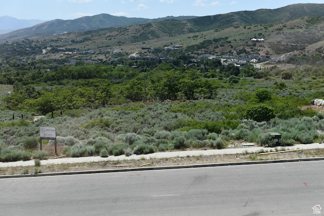 13104 N Prospector Way, Alpine, UT 84004 - mountain view