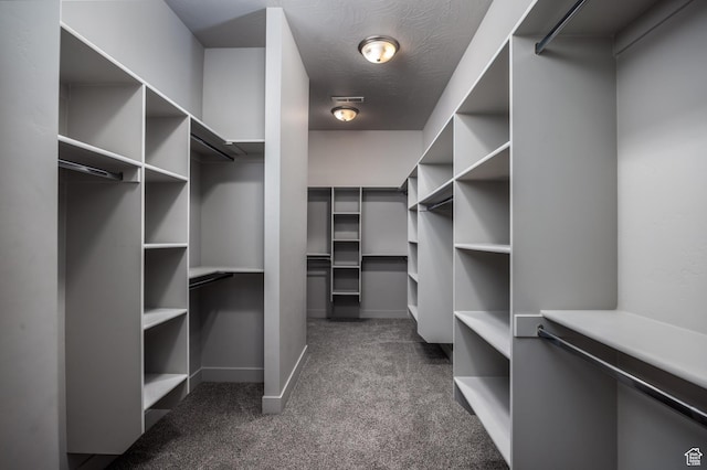 1861 N Mountain View Dr, Washington, UT 84780 - spacious closet with dark colored carpet