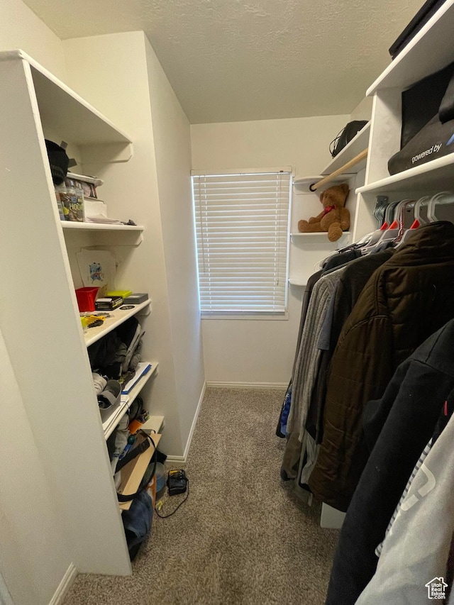 1438 E Woodland Ave S, Millcreek, UT 84106 - spacious closet featuring carpet flooring