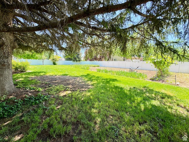 6209 W 9600 N, Highland, UT 84003 - view of yard