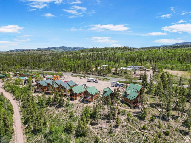 5866 Mirror Lake Hwy Unit 3-1, Coalville, UT 84017