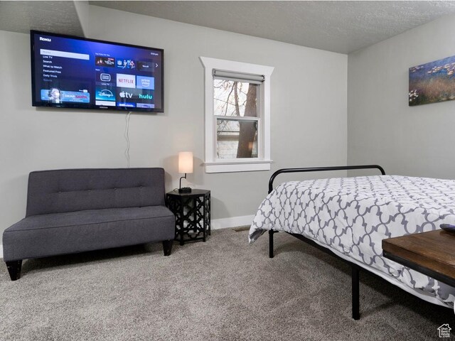 4714 S Hanauer St, Murray, UT 84107 - photo 13