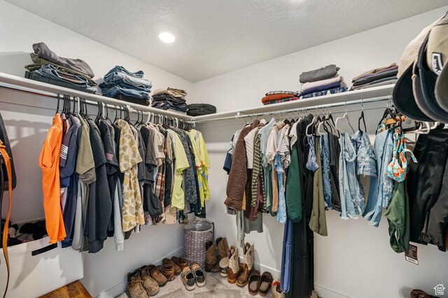 3493 N Sparrow Ln, Eagle Mountain, UT 84005 - view of walk in closet