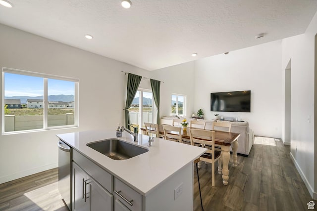 3493 N Sparrow Ln, Eagle Mountain, UT 84005 - kitchen with stainless steel dishwasher, dark wood finished floors, an island with sink, open floor plan, and light countertops